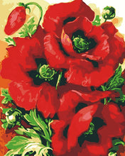 Load image into Gallery viewer, WINNIE´S PICKS - Beautiful Red Poppies
