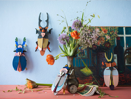 Studio Roof - Lucanidae (Beetle) - Giant Beetles